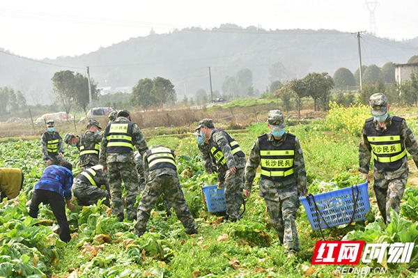 新时代恩施民兵，力量与担当的闪耀展现